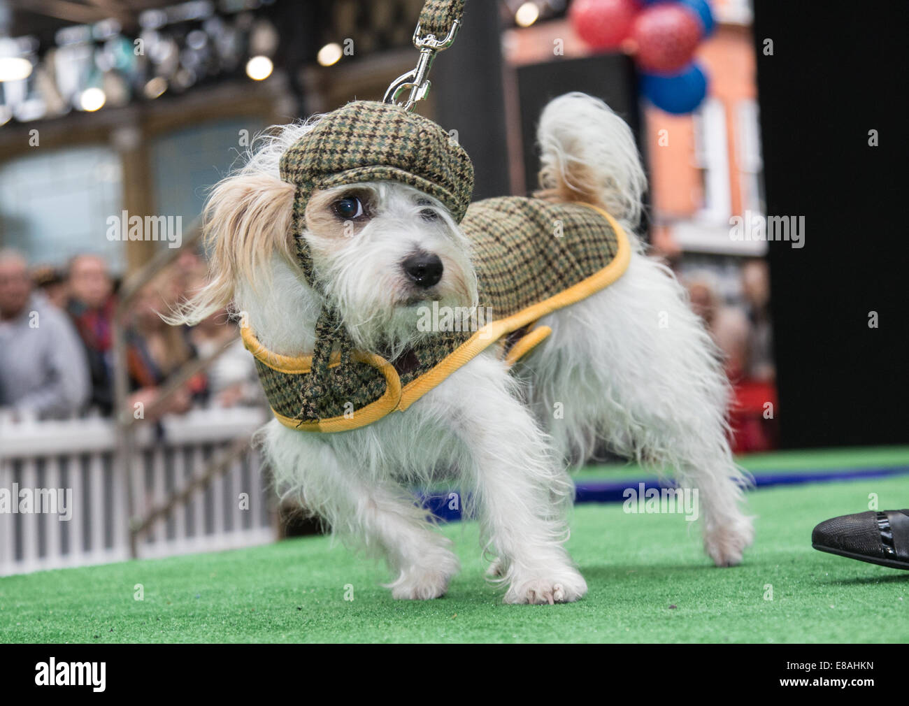 Spitalfields cane Pageant e sfilata di moda Foto Stock