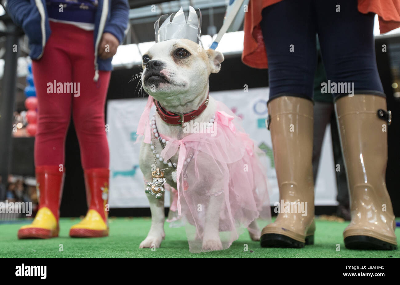 Spitalfields cane Pageant e sfilata di moda Foto Stock