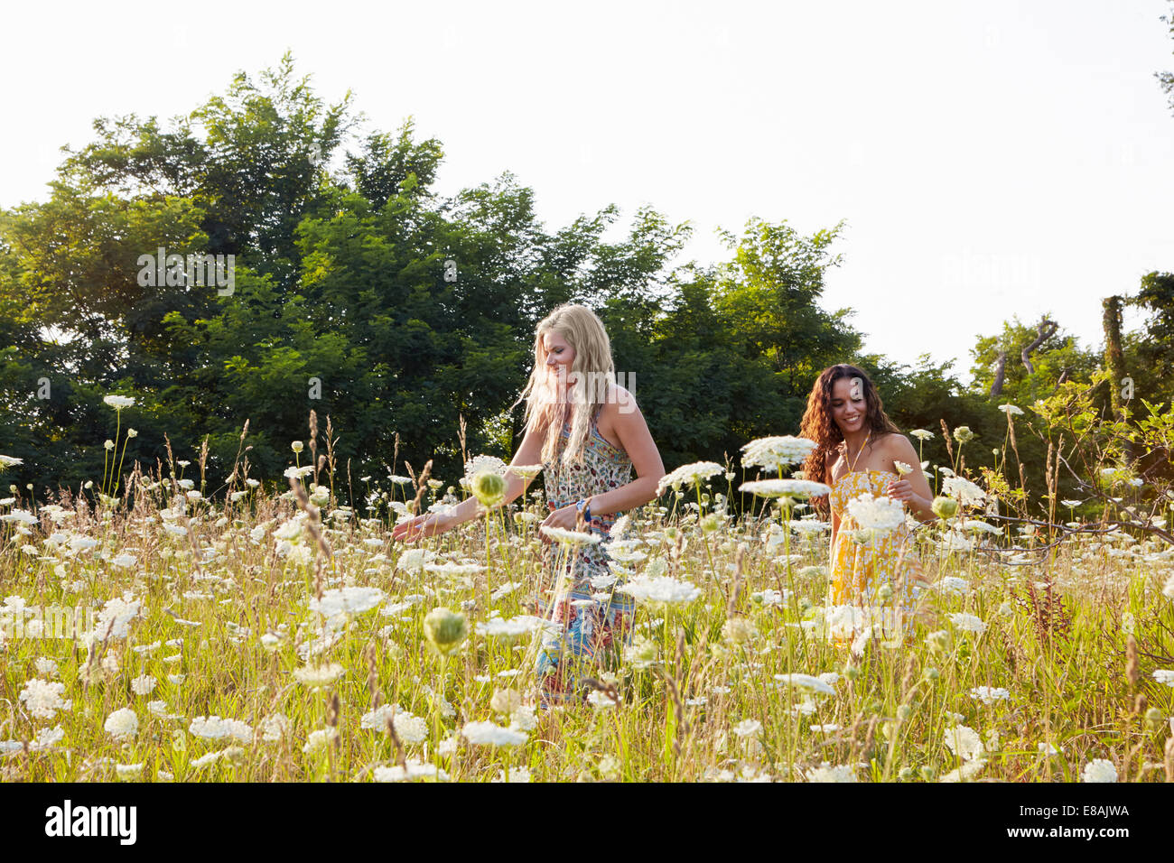Le donne in un campo di fiori selvatici Foto Stock