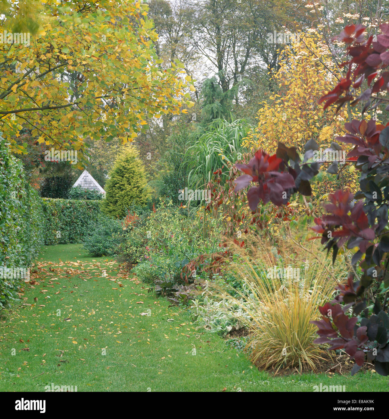 Percorso di erba oltre confine in paese grande giardino in autunno Foto Stock