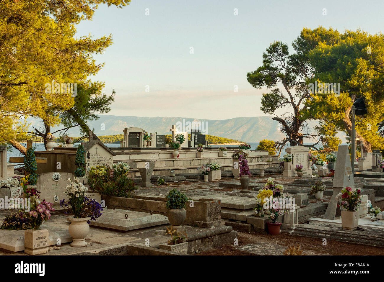 Cimitero in Jelsa, isola Hvar, Croazia Foto Stock