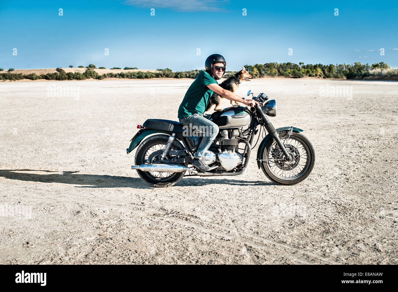 Metà adulto uomo e cane riding motociclo su arida pianura, Cagliari, Sardegna, Italia Foto Stock