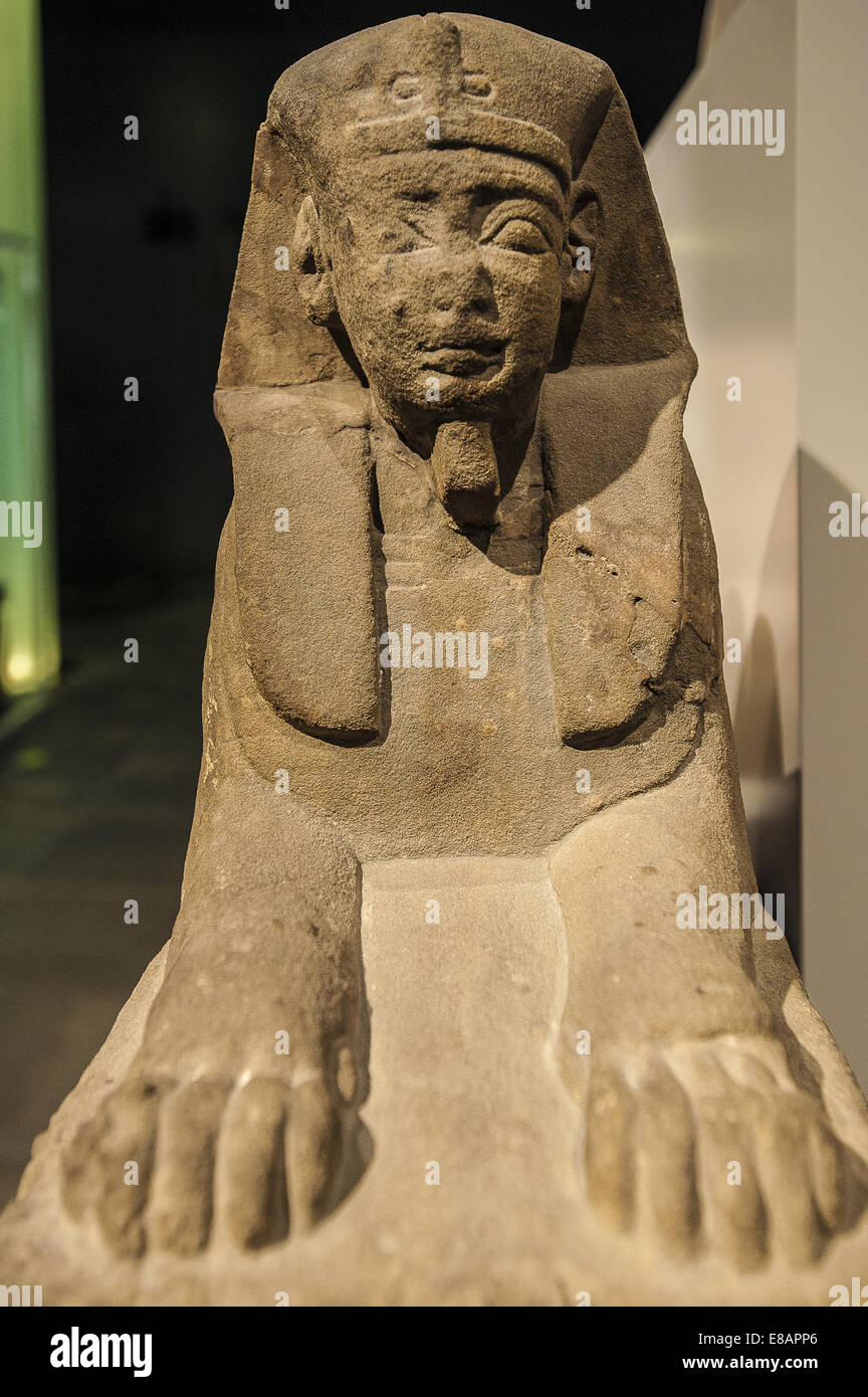 Italia Piemonte Torino Museo Egizio arenaria la figura di un reconbant sphinx con gambe anteriori esteso periodo romano ( 2° - 4° ce Foto Stock