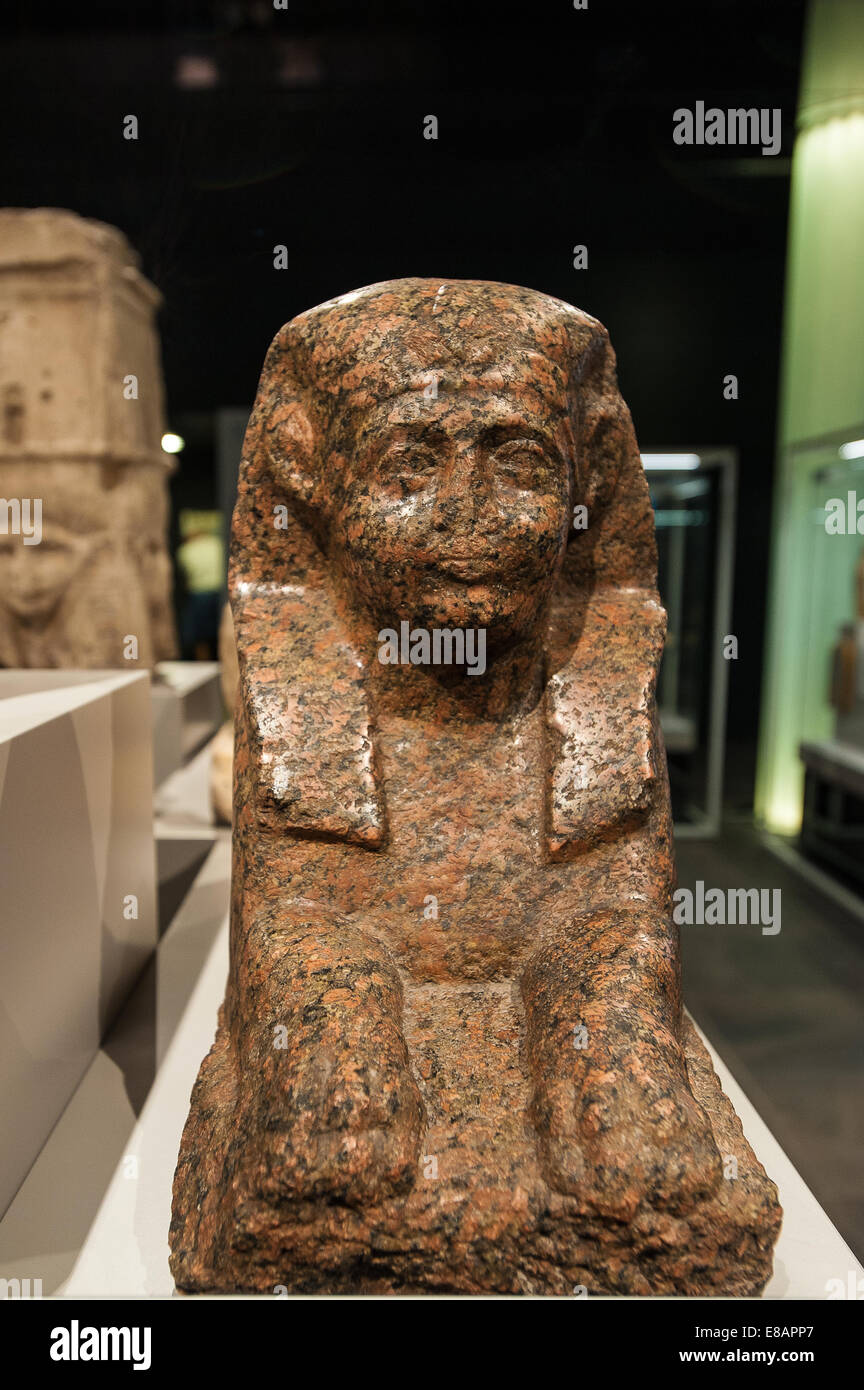 Italia Piemonte Torino Museo Egizio La Sfinge ho una simbolica e rappresentazione solare del pharaon. Foto Stock