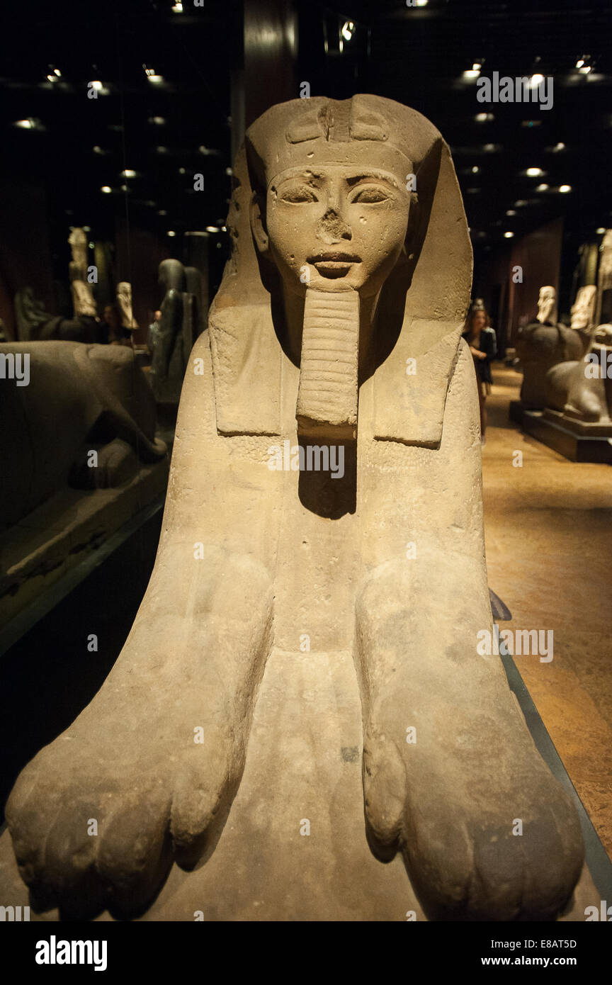 Italia Piemonte Torino Museo Egizio Sphinx Foto Stock