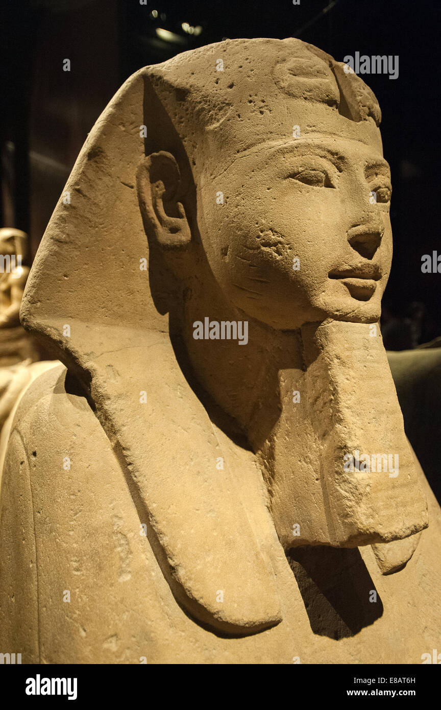 Italia Piemonte Torino Museo Egizio di statue Sphinx Foto Stock