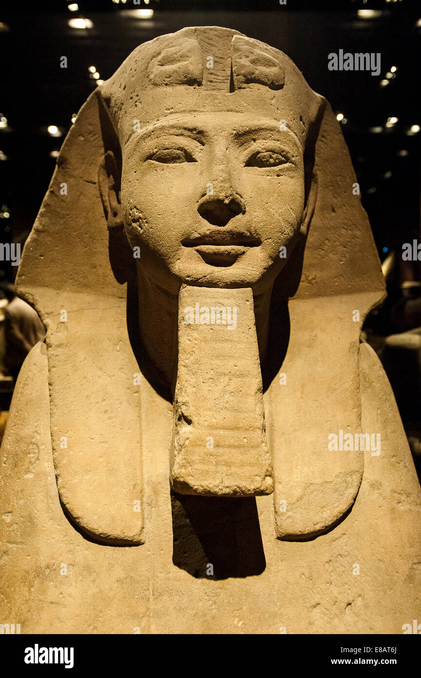 Italia Piemonte Torino Museo Egizio di statue Sphinx Foto Stock