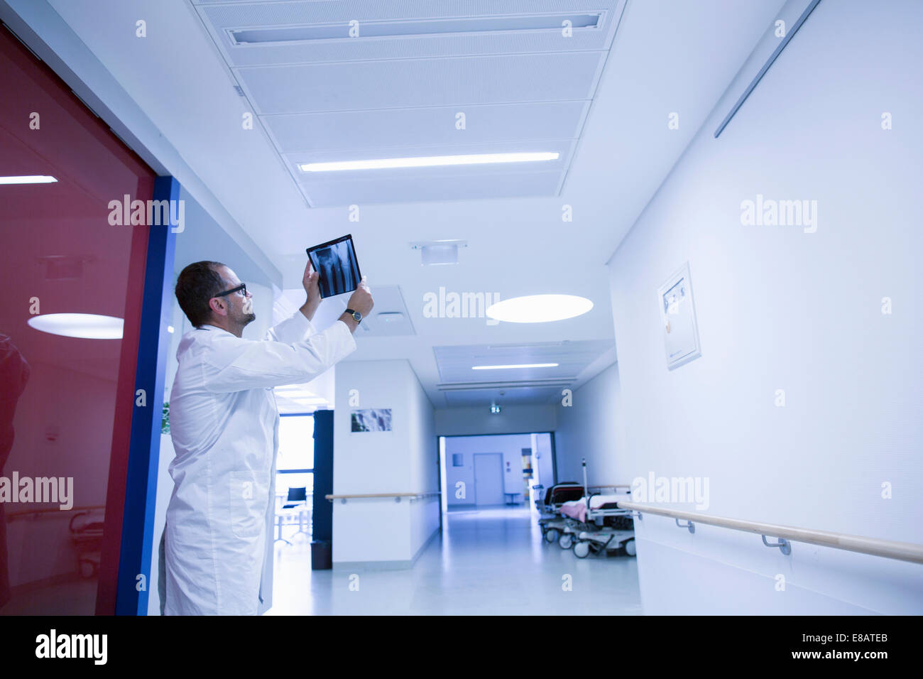 Radiologo tenendo in mano xray in ospedale Foto Stock