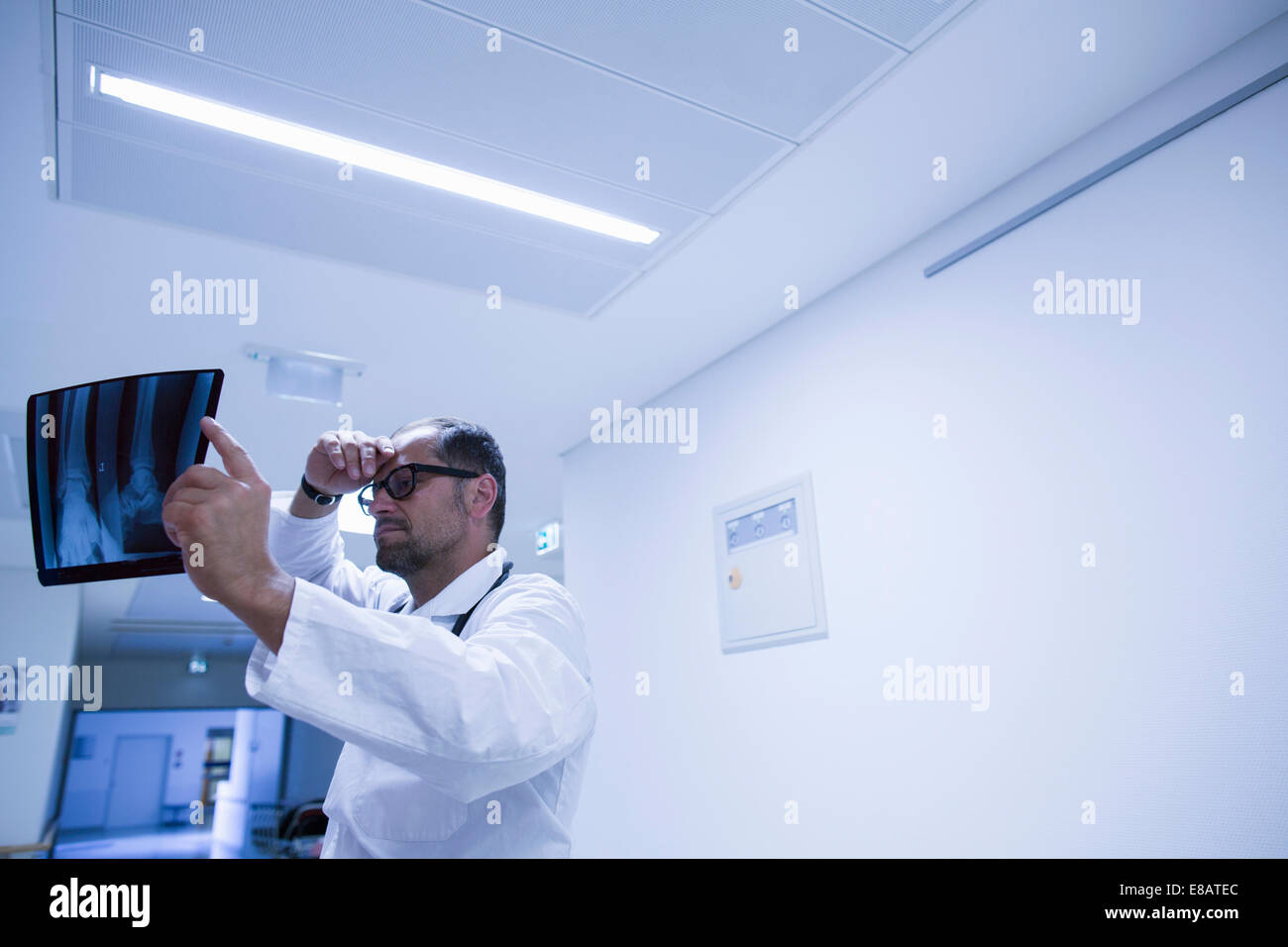 Radiologo tenendo in mano xray risultati in ospedale Foto Stock
