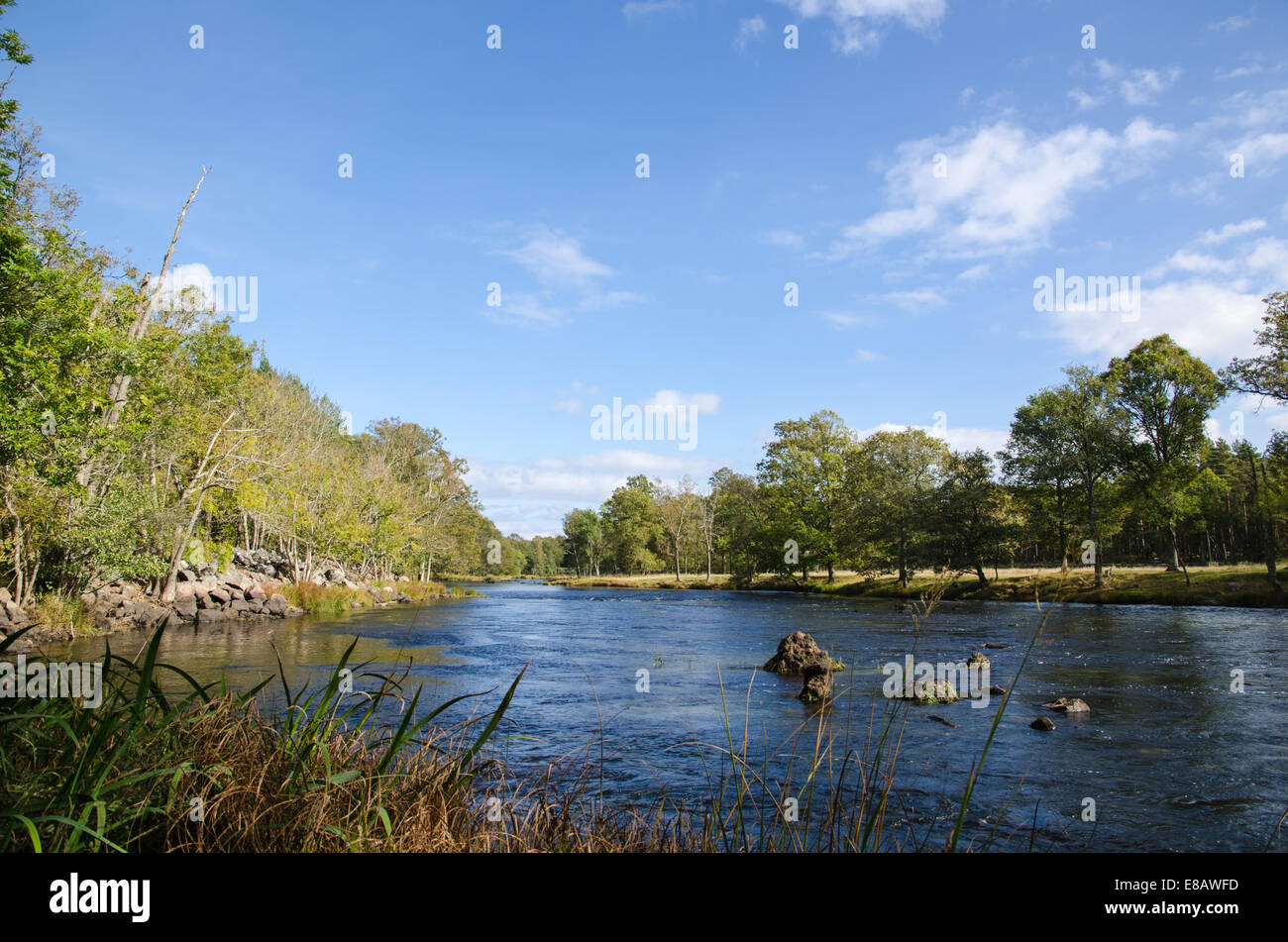Tarda estate vista in un piccolo fiume dalla campagna in Svezia Foto Stock
