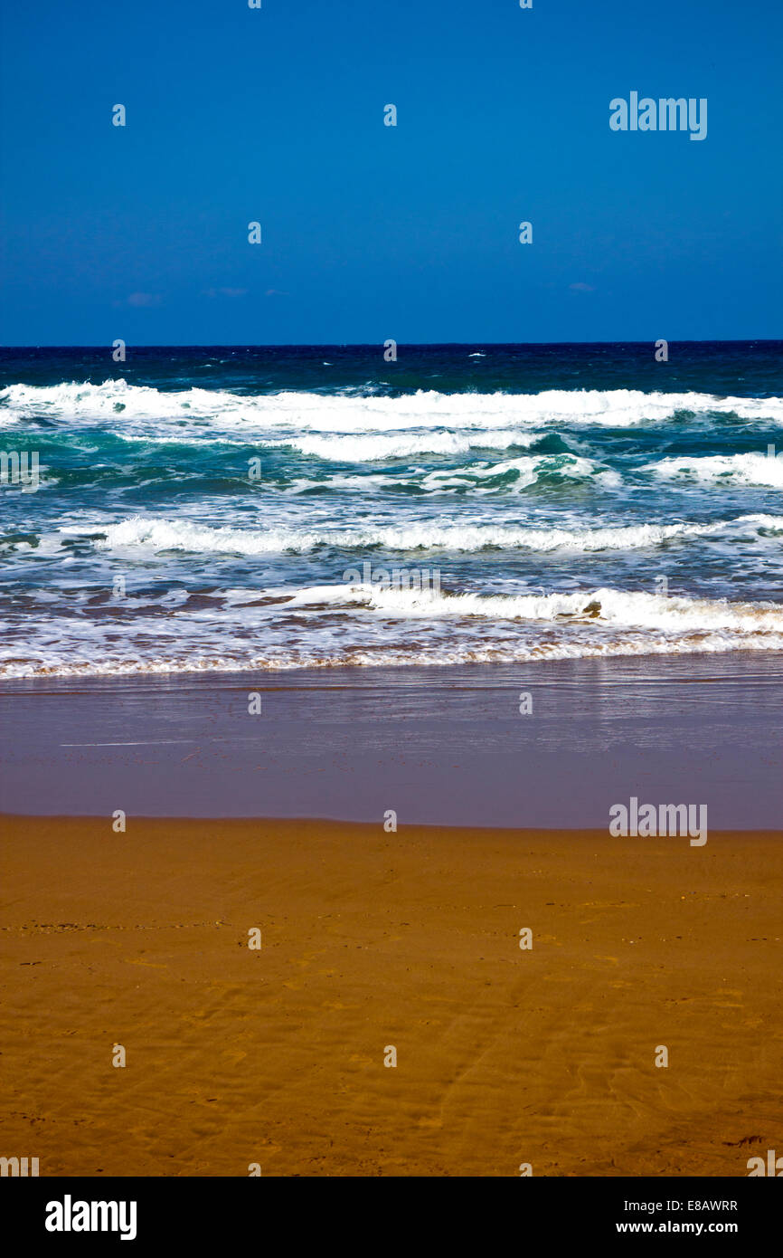 Sciabordare di onde su una spiaggia Foto Stock