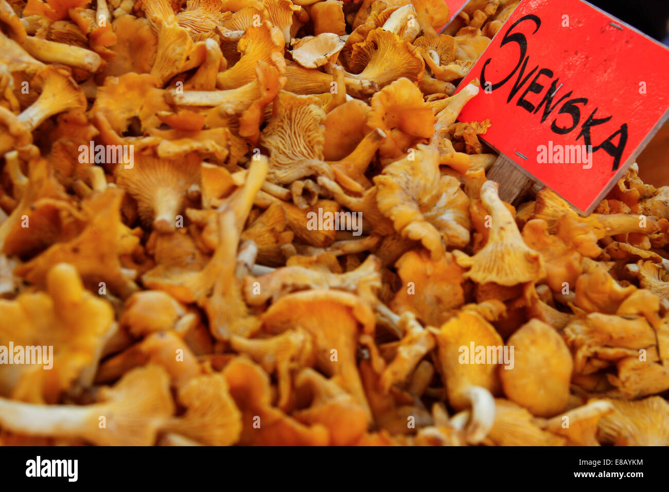 Chanterelle, funghi, marketplace, Stoccolma, Svezia, Europa Foto Stock