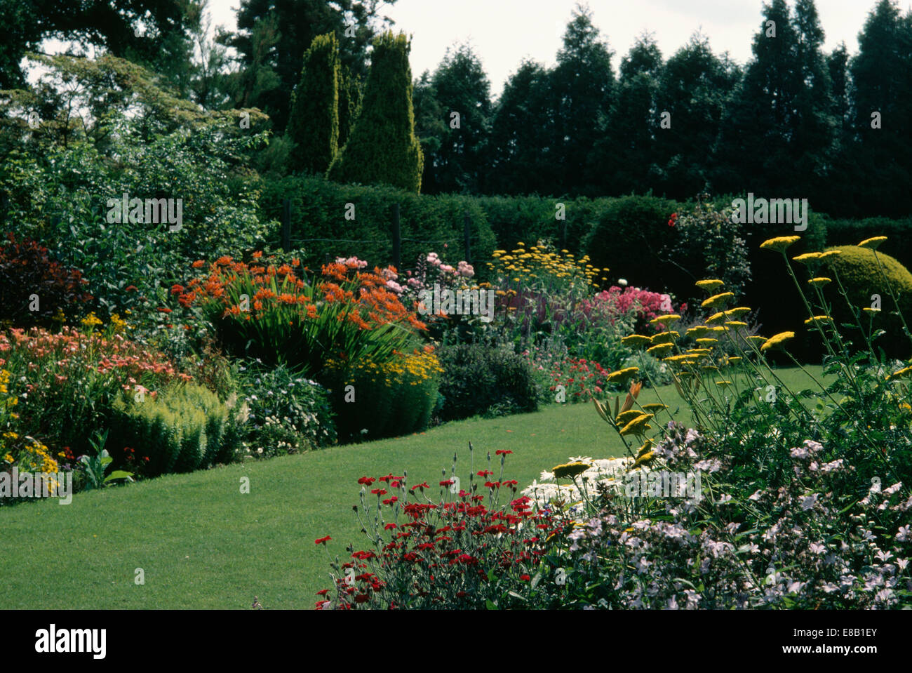 Colorate frontiere erbacee e ampio percorso di erba in paese grande giardino in estate Foto Stock