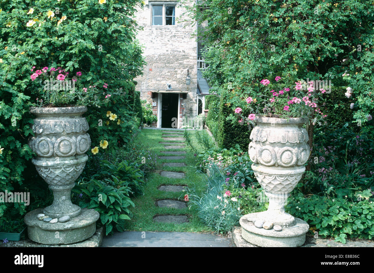 Gerani rosa in urne di pietra su entrambi i lati del percorso che conduce attraverso gli hedge alla country house Foto Stock