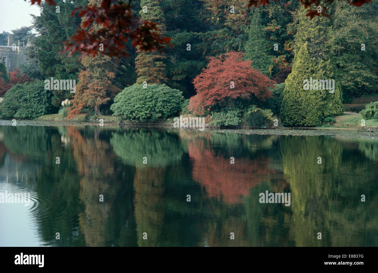 Alberi e arbusti di autunno riflesso in acque calme di un grande lago in un paese grande giardino Foto Stock