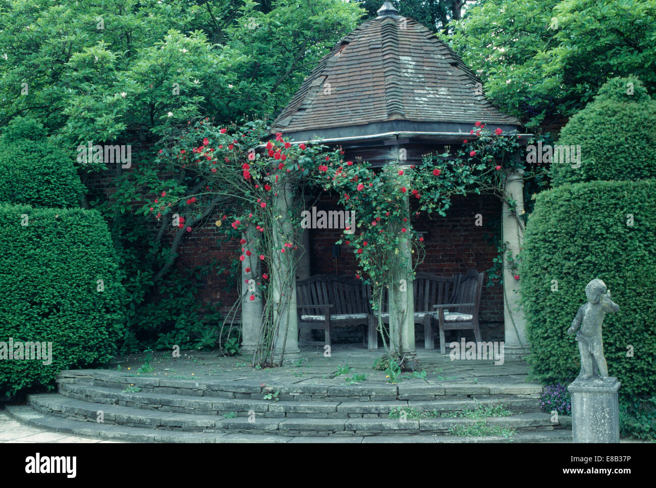 Gradini di pietra fino al gazebo con tetto di tegole e red rose rampicanti in paese grande giardino con siepi tagliate Foto Stock