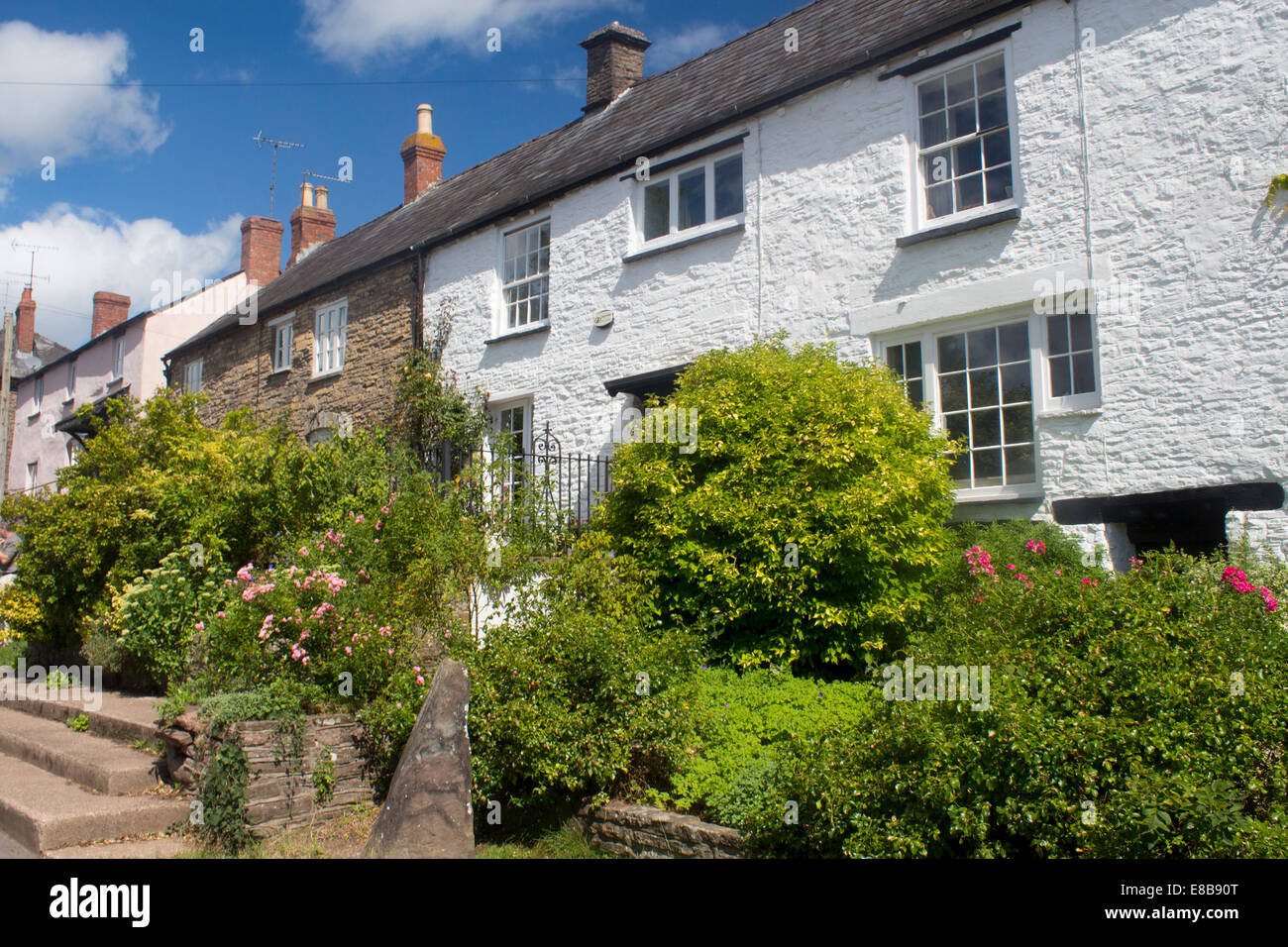 Cottage Grosmont nel ricco paese rurale villaggio con fiori e cespugli in giardino Monmouthshire South East Wales UK Foto Stock
