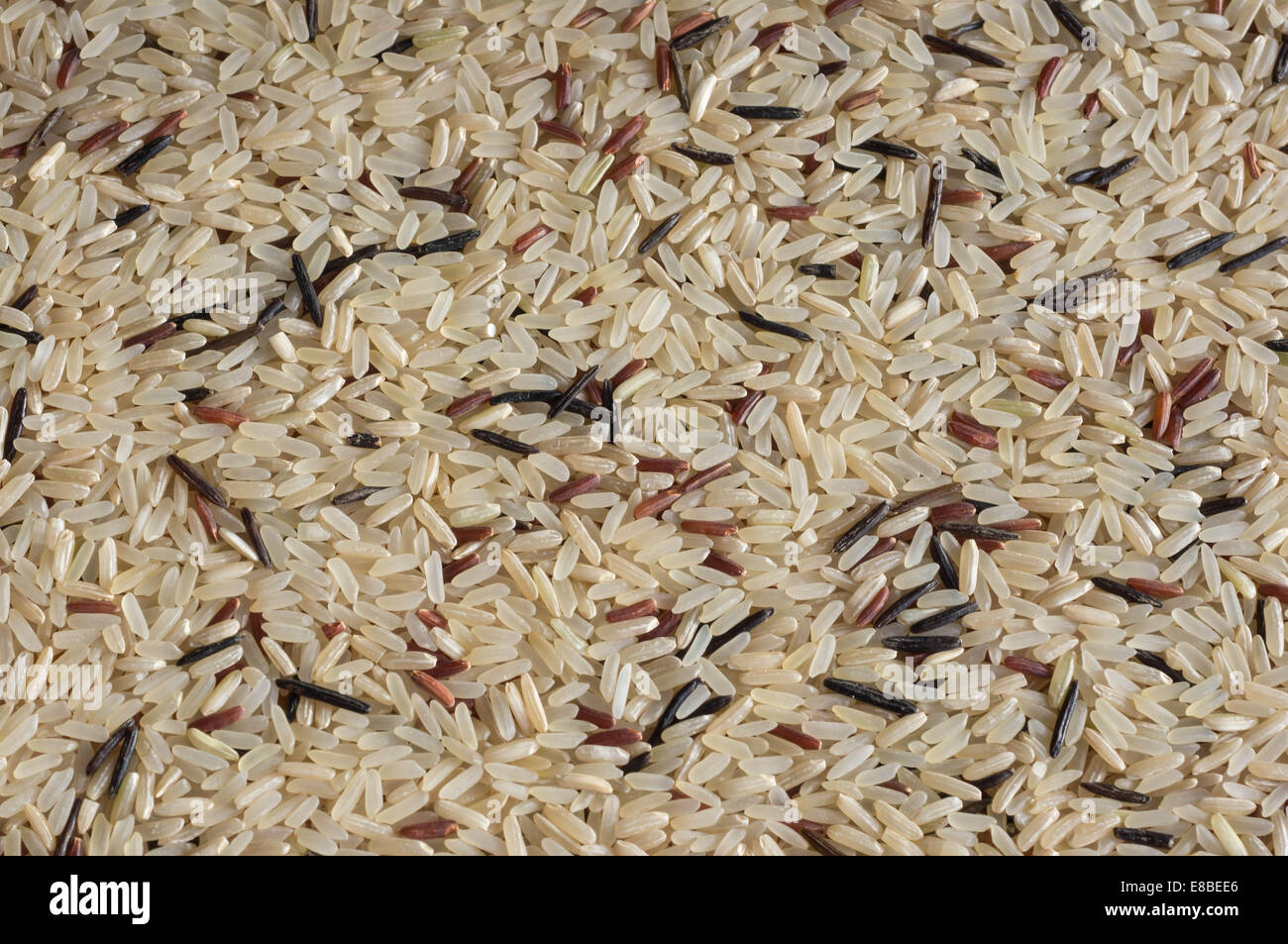 Sfondo del riso sparsi nelle varie gradazioni Foto Stock