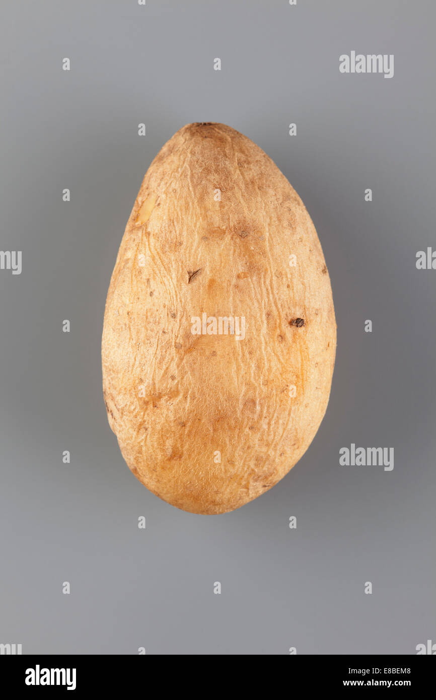 Patate al forno solo. Foto Stock