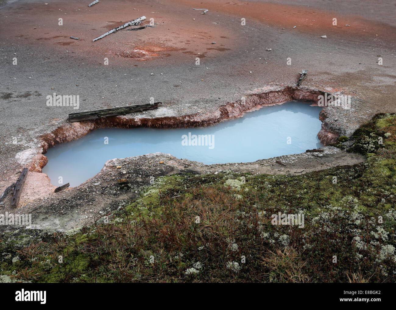 Artista Paint Pots vulcaniche di piscine termali, nel Parco Nazionale di Yellowstone, Montana USA Foto Stock