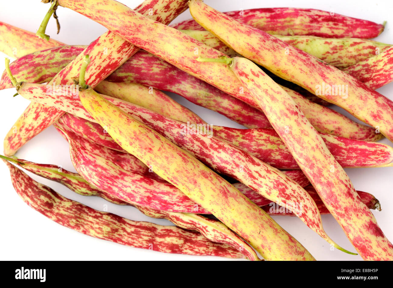 Borlotti freschi in cialde, una varietà di fagiolo di mirtillo palustre, su sfondo bianco Foto Stock
