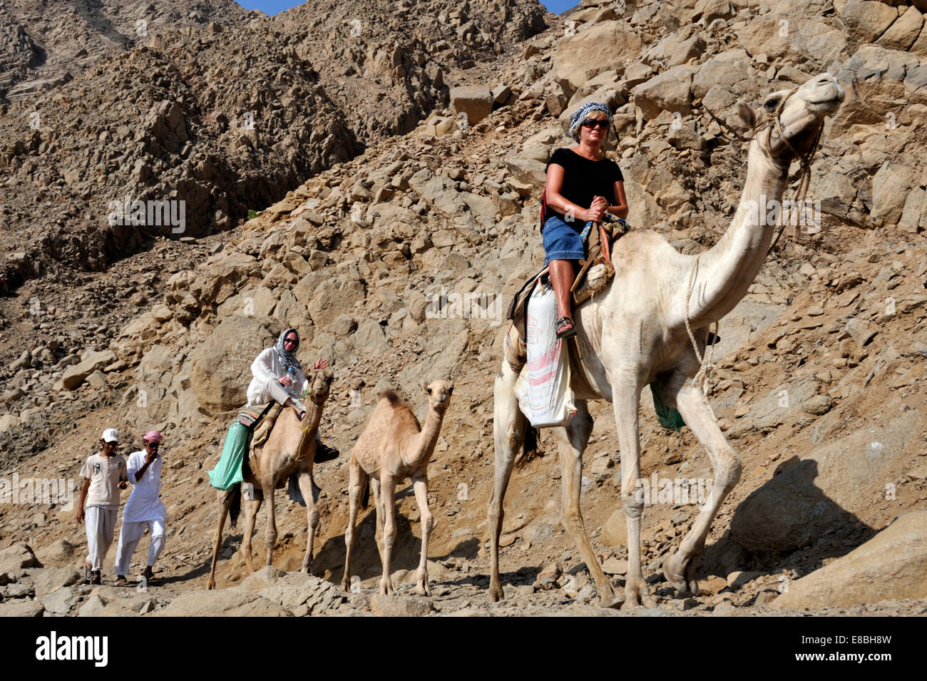 Il Sinai montagne lungo il Golfo di Aqaba il turista su Bedouin camel trek nord da Dahab a Ras Malah nel sud del Sinai PEN1 Foto Stock