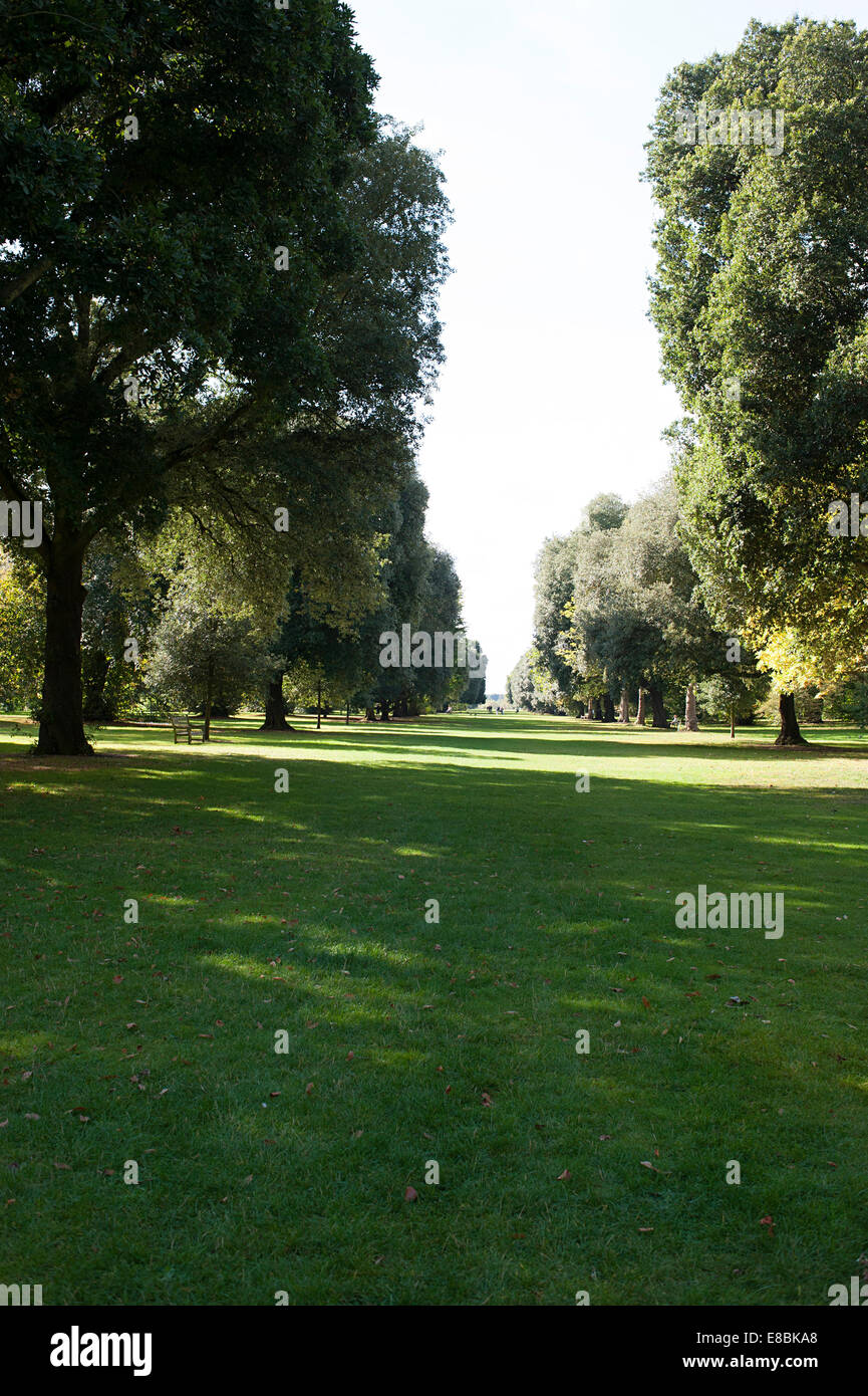 I Giardini di Kew vista del paesaggio di vaste aree erbose foderato con bellissimi alberi Foto Stock