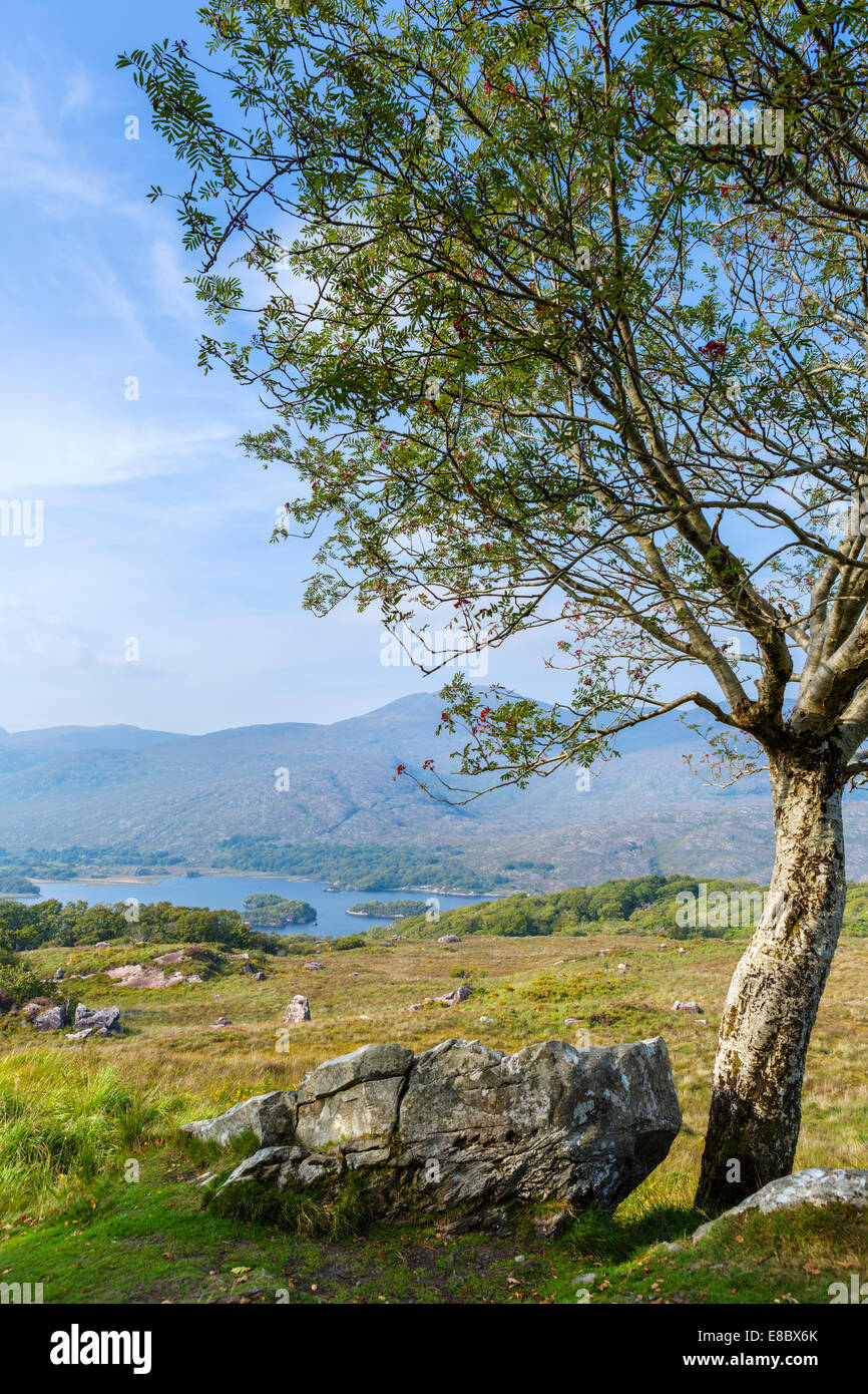 Laghi di Killarney visto dal Ladies View sulla N71 Anello di Kerry, Parco Nazionale di Killarney, nella contea di Kerry, Repubblica di Irlanda Foto Stock