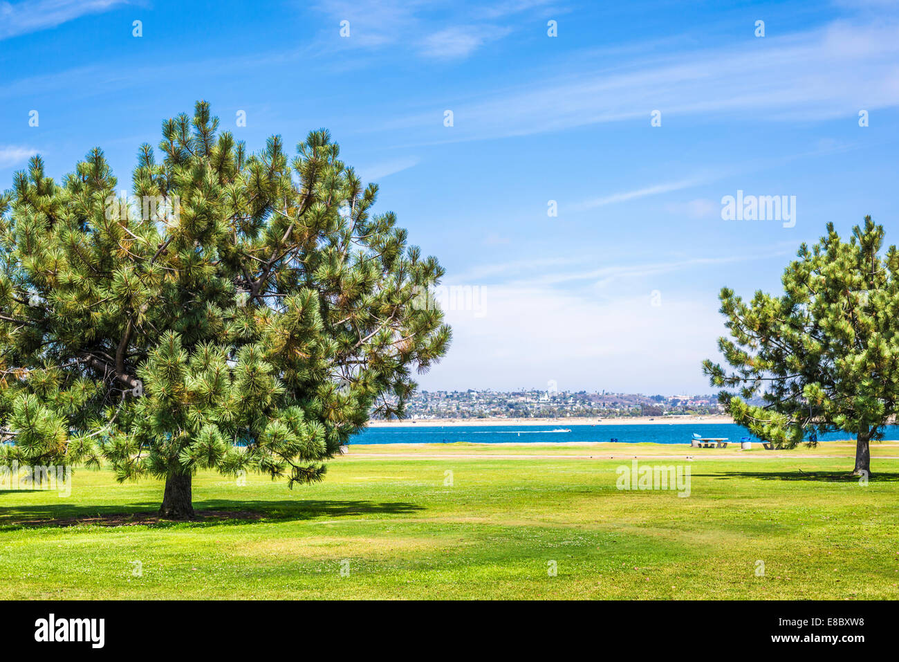 Vista di alberi e prato al Crown Point Park. San Diego, California, Stati Uniti. Foto Stock