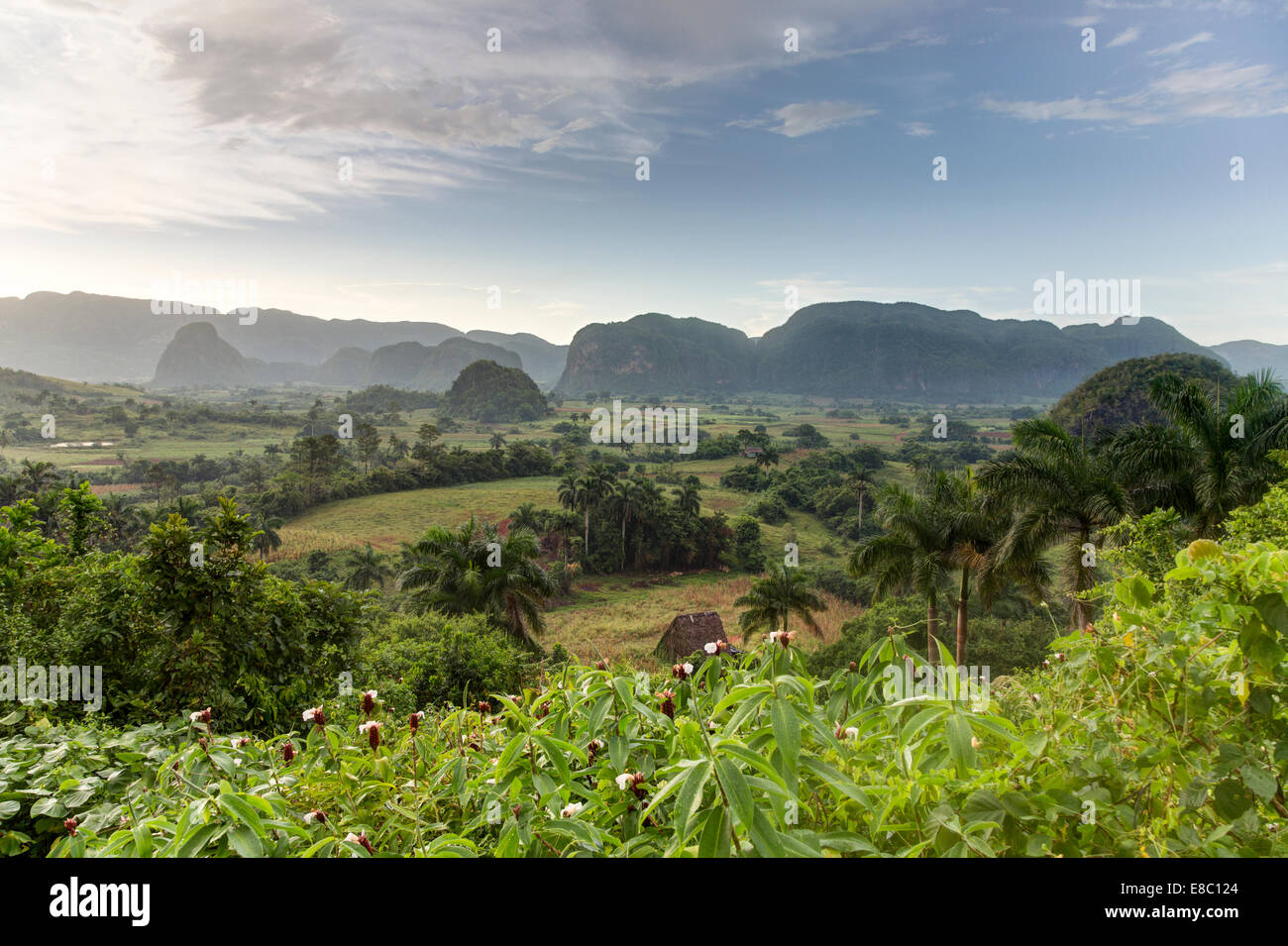 Mogotes in serata il paesaggio di Vinales, Pinar del Rio provincia, Cuba Foto Stock