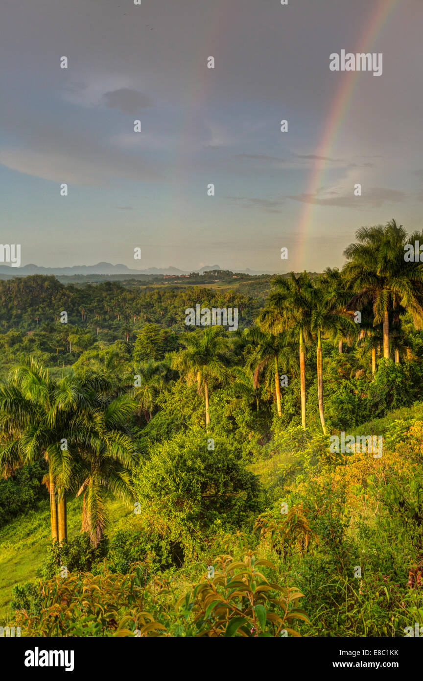 Rainbow in serata il paesaggio di Vinales, Pinar del Rio provincia, Cuba Foto Stock