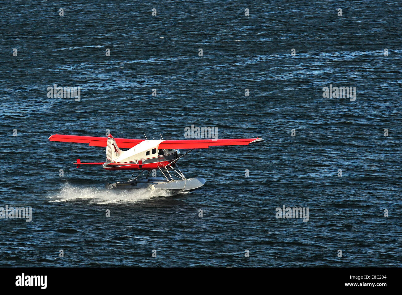 A bordo di un idrovolante / mare aereo atterra in Ketchikan Alaska Foto Stock