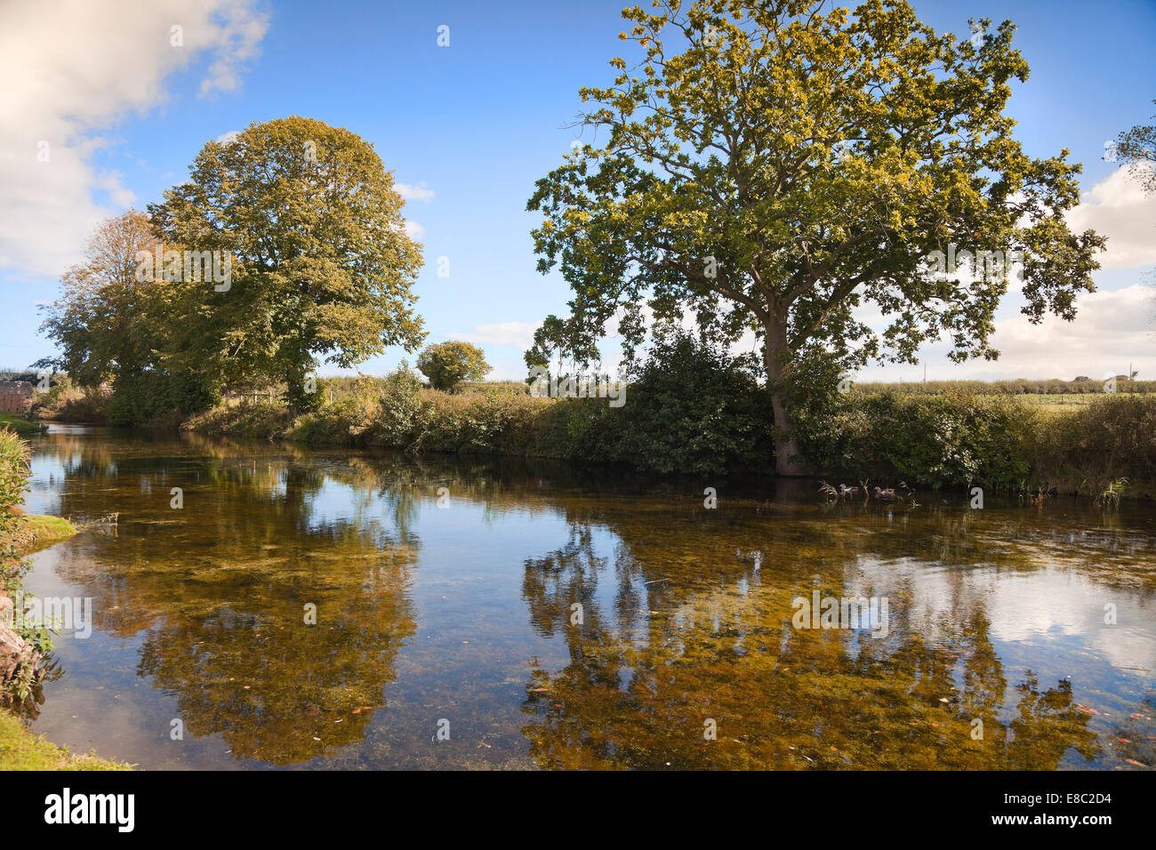 Ancora tranquillo paesaggio acqua, sera soleggiato alberi sulle rive di un fiume, Norfolk, Regno Unito Foto Stock
