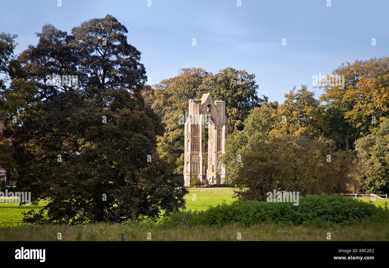 Walsingham le rovine dell'Abbazia, Norfolk, Regno Unito. Sera La luce solare Foto Stock