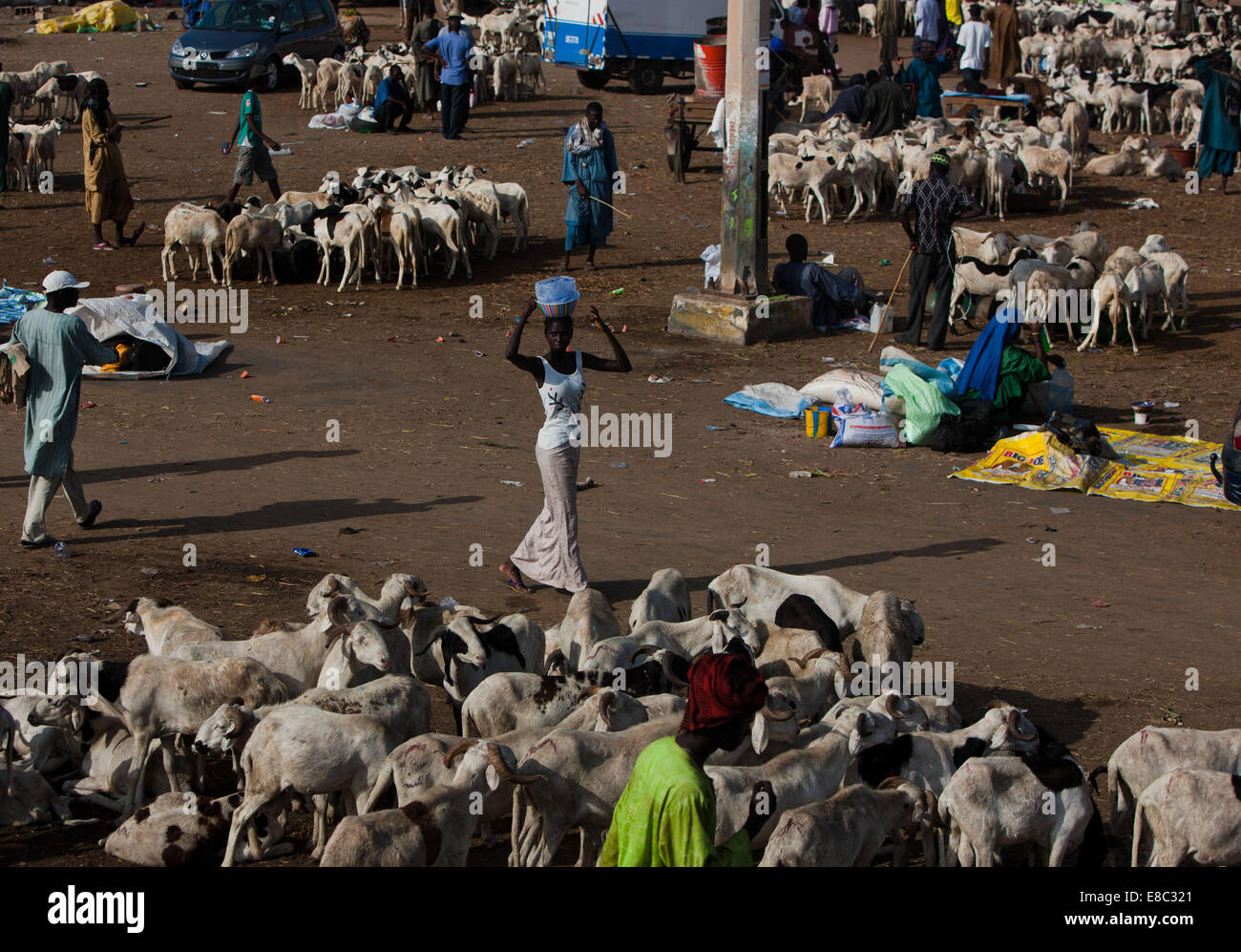 Dakar. 4 Ott 2014. Foto scattata il 4 ottobre, 2014 Mostra temporanea del mercato di capra vicino il Leopold Sedar Senghor Stadium di Dakar in Senegal. Persone in Senegal preparati per l'Eid al-Adha che si suppone che cadono su 5 Ottobre di questo anno in Senegal. © Li Jing/Xinhua/Alamy Live News Foto Stock