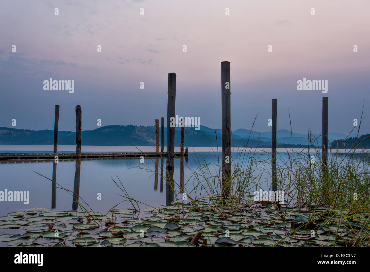 Chatcolet lago a sunrise. Foto Stock