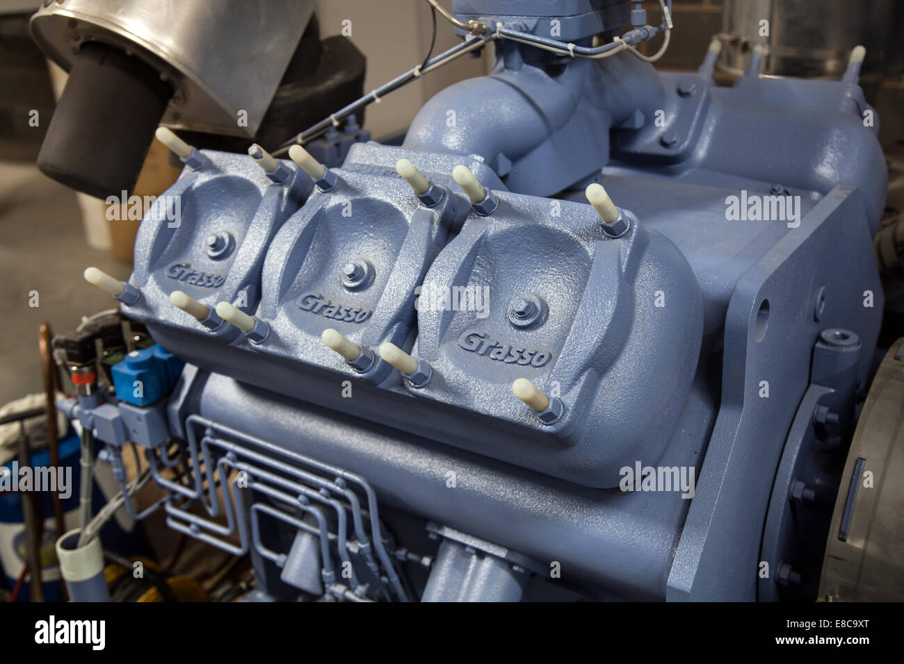 Dolefresh allo stato dell'arte impianti di maturazione nel nord del Regno Unito. In totale si hanno 32 camere di maturazione Foto Stock