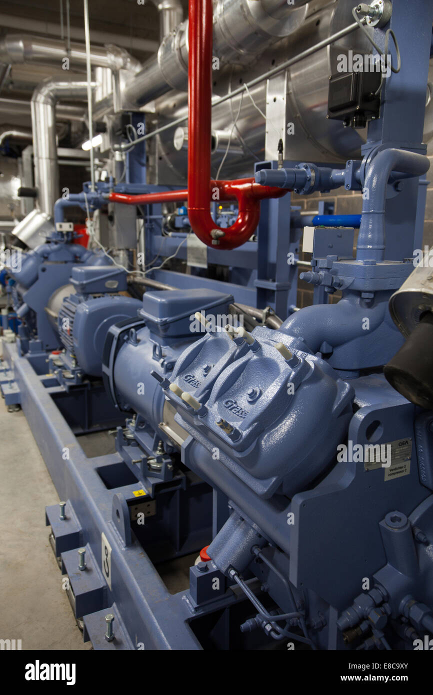 Dolefresh allo stato dell'arte impianti di maturazione nel nord del Regno Unito. In totale si hanno 32 camere di maturazione Foto Stock