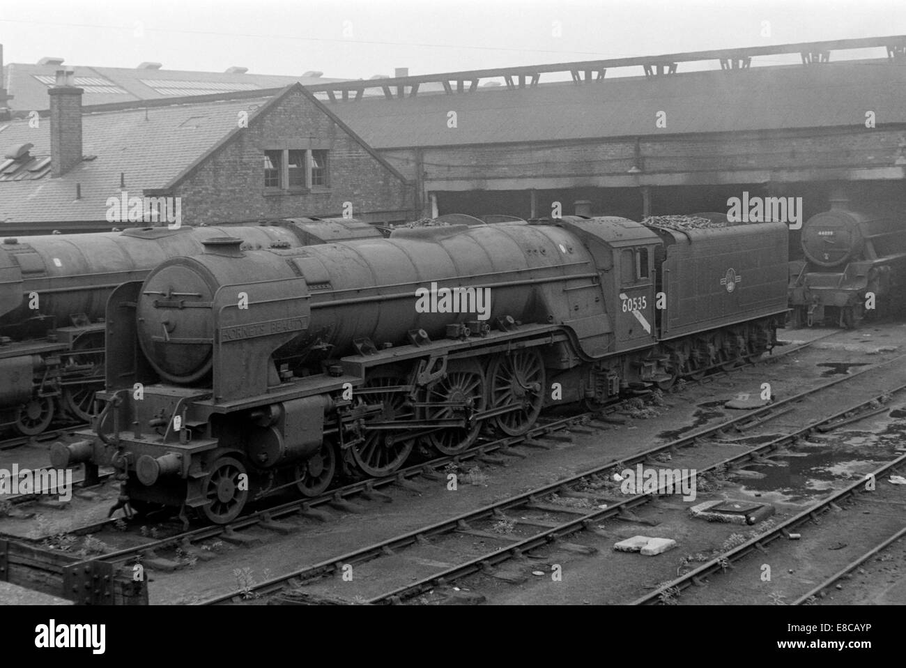 Original British Railways locomotiva a vapore 60535 calabroni bellezza a polmadie Scozia negli anni sessanta Foto Stock