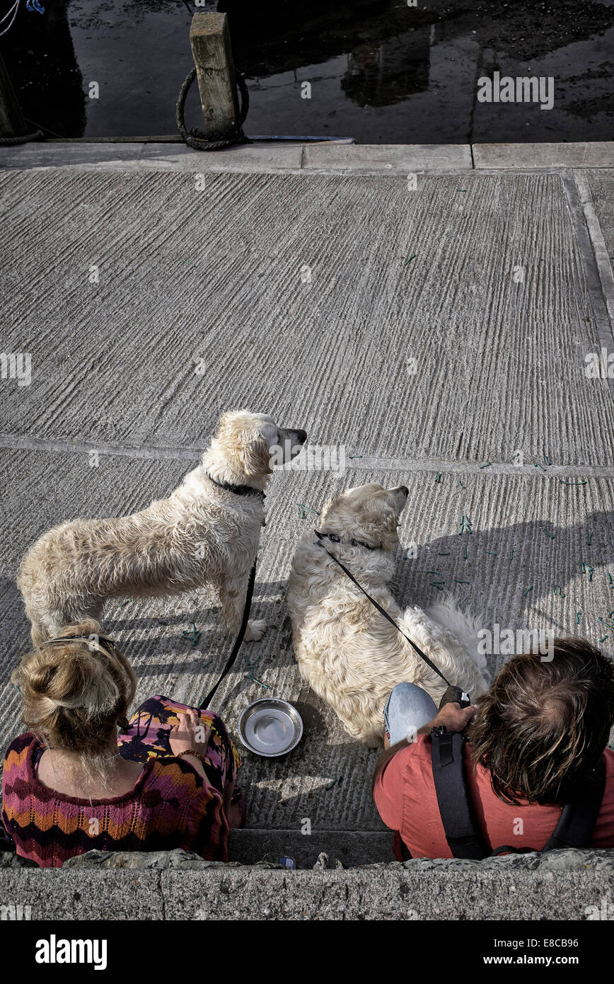 I proprietari di cani prendendo una pausa mentre a spasso i loro animali domestici. Inghilterra, Regno Unito Foto Stock