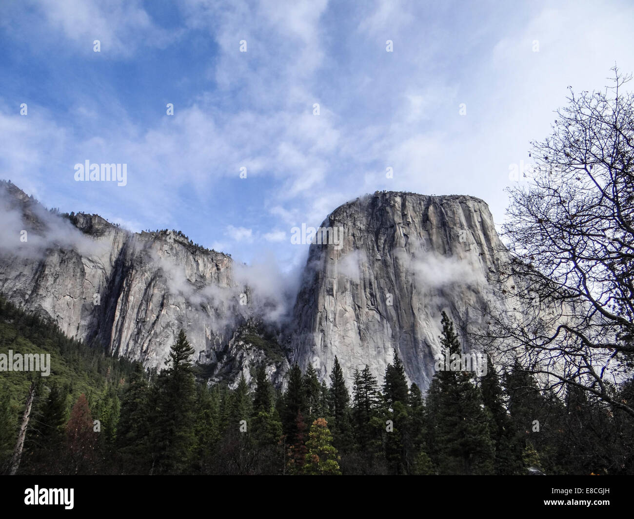 El Capitan in questa immagine, il lato del sud di El Capitan può essere visto come la nebbia cancella intorno ad esso. El Capitan è un monolito di granito che sorge a circa 3.000 ft (900 m) dal fondovalle e è uno di Yosemite National Park più famosi punti di riferimento. Foto Stock