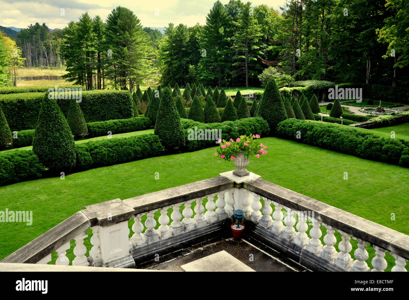 Lenox, Massachusetts: alberi ritagliato in forme a cono sul formale prati terrazzati presso il Monte Edith Wharton Estate home Foto Stock