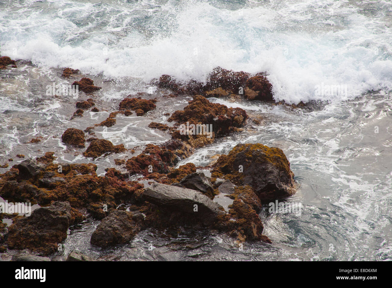 Isole Canarie Tenerife spiaggia rocciosa Foto Stock