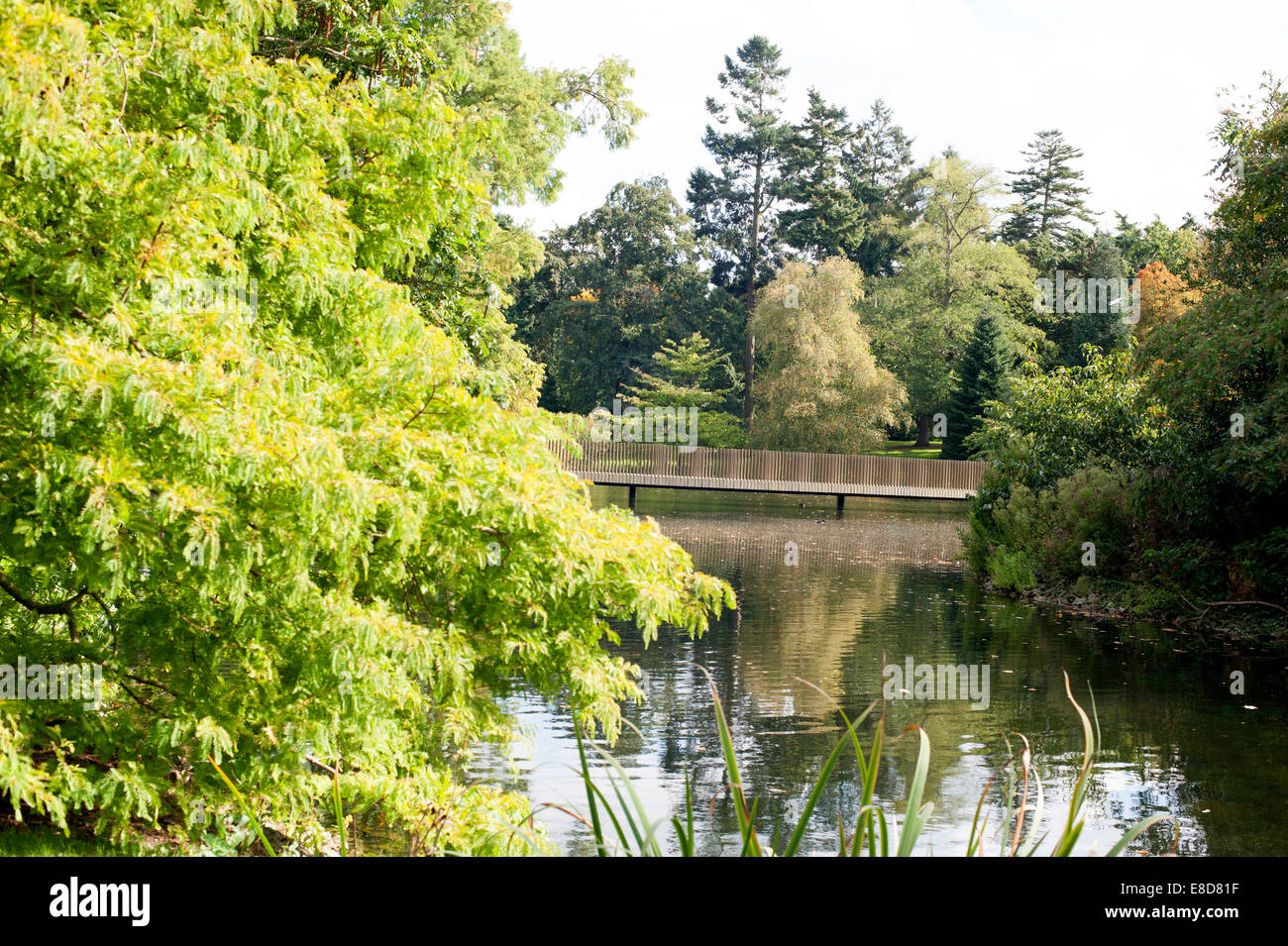 Un bellissimo tranquillo ambiente di autunno nella motivazione del famoso Kew Gardens. Foto Stock