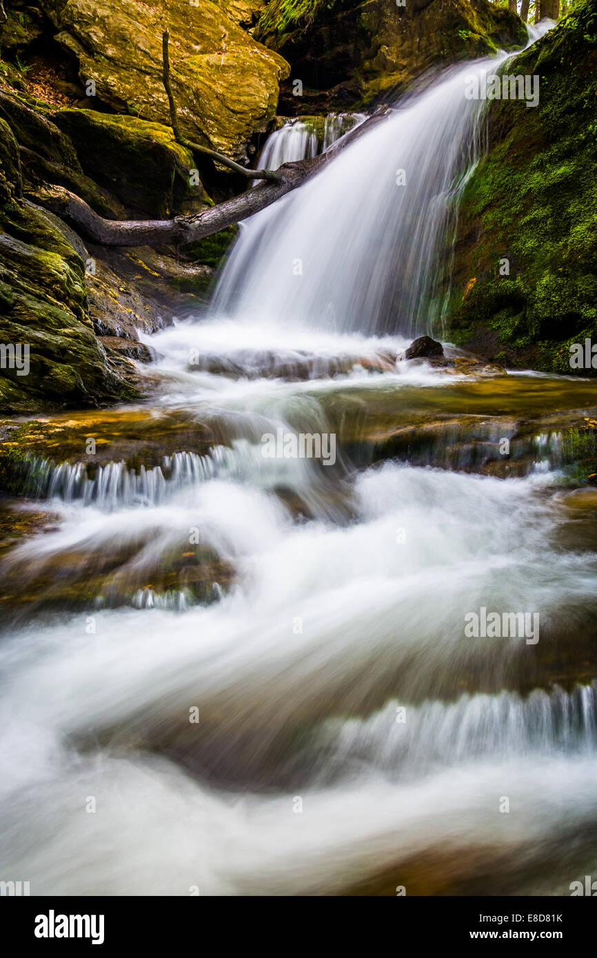 E cascata su un flusso in Holtwood, Pennsylvania. Foto Stock