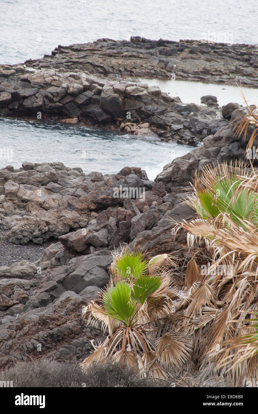 Rocce sulla spiaggia Tenerife Foto Stock