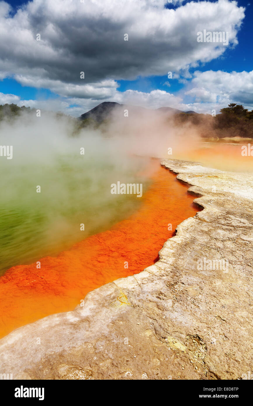 Champagne, piscina termale calda primavera, Rotorua, Nuova Zelanda Foto Stock