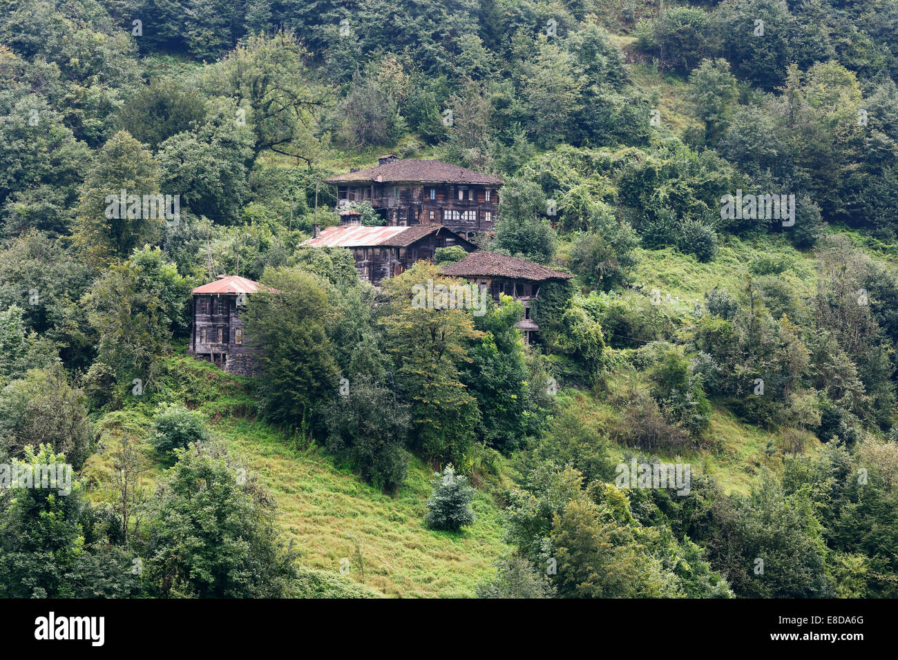 Tipiche Case in legno, Fırtına Valley, Rize Provincia, le montagne del Mar Nero, la regione del Mar Nero, Turchia Foto Stock