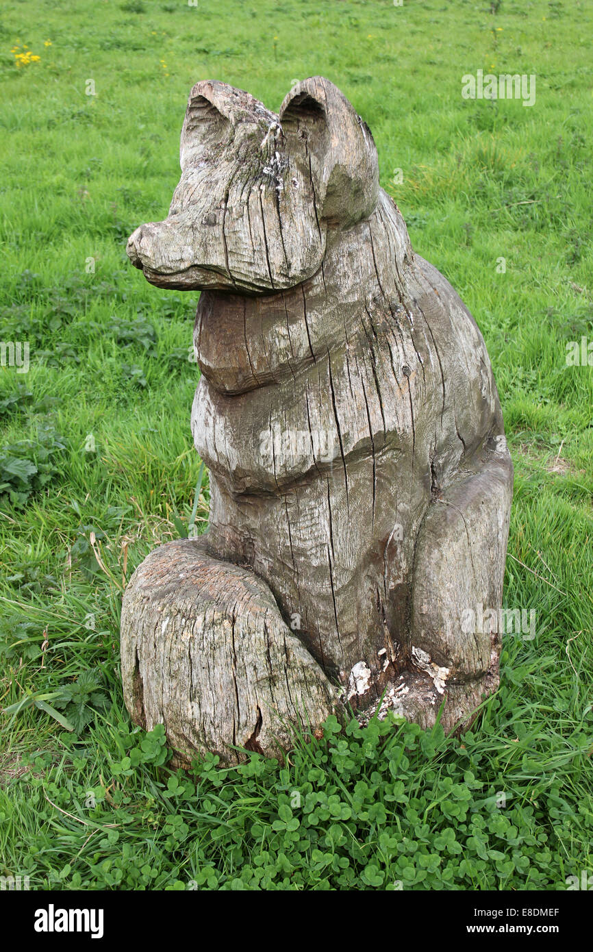 Fox intaglio del legno a Wigg isola riserva naturale, Runcorn, Regno Unito Foto Stock