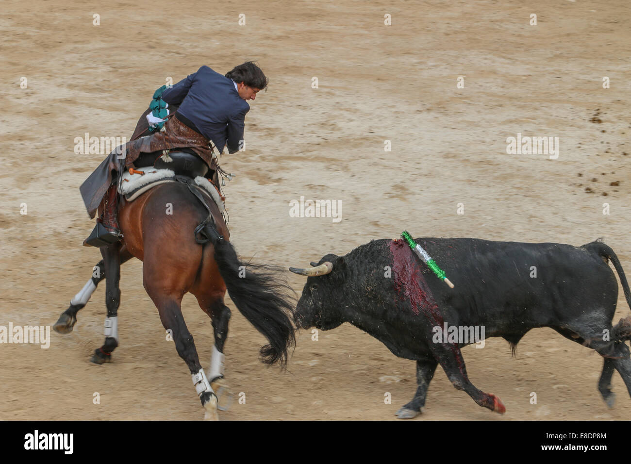 Inseguimento di corrida Foto Stock